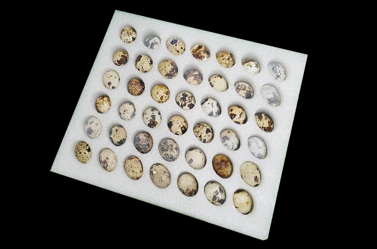 常州EPE珍珠棉厂家